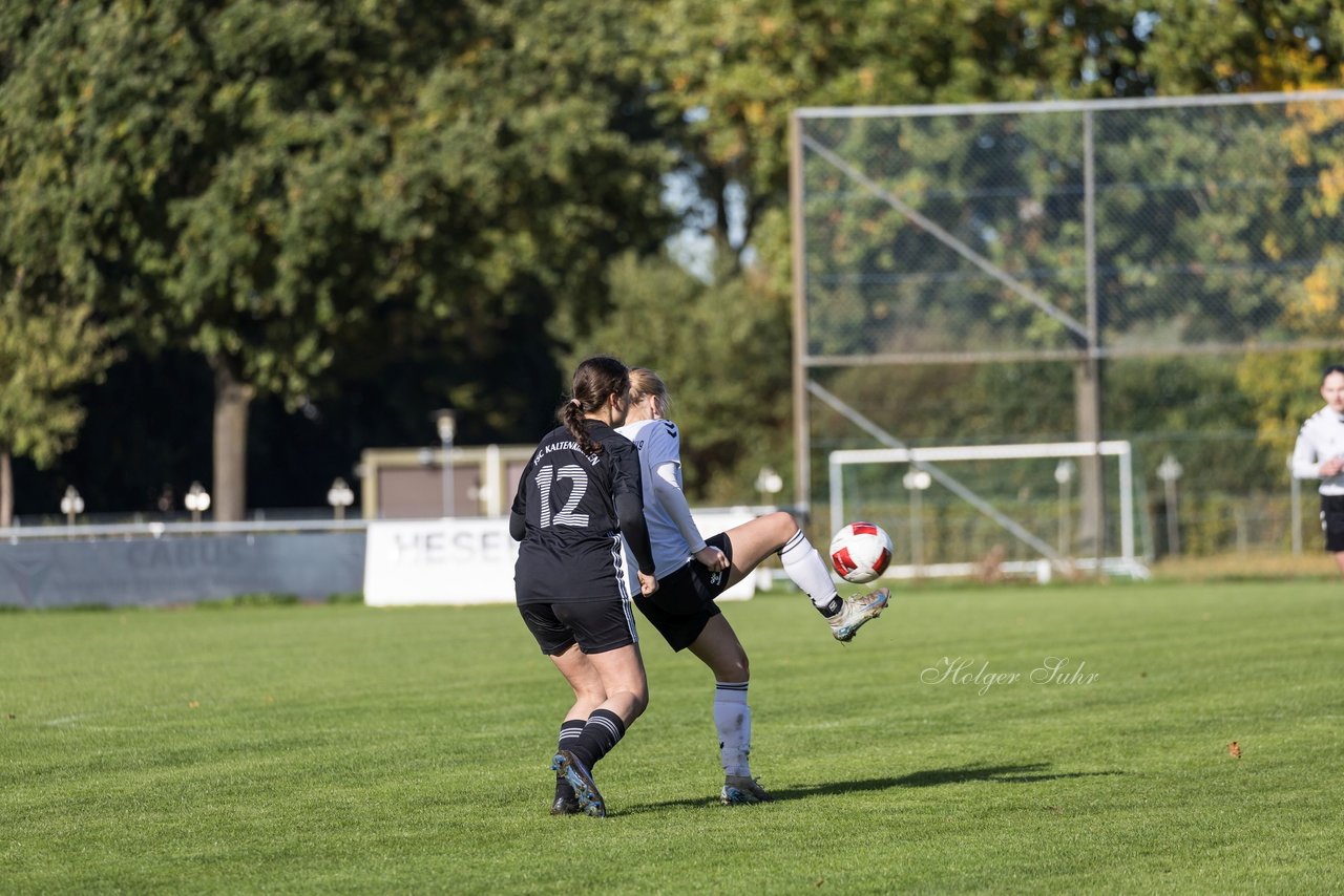 Bild 264 - F SV Henstedt Ulzburg2 - FSG Kaki-StuSie : Ergebnis: 2:2